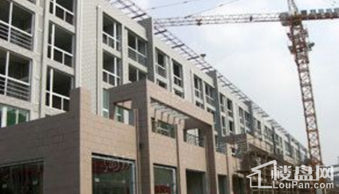 实景图