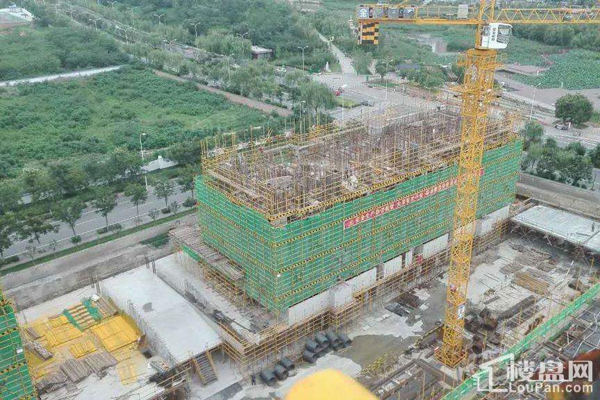 桃源漫步实景图