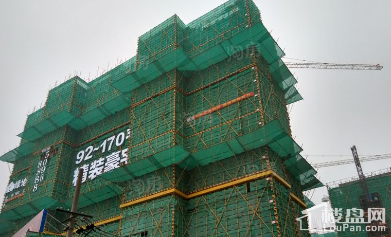 实景图
