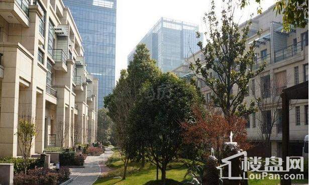 金沙御墅实景图