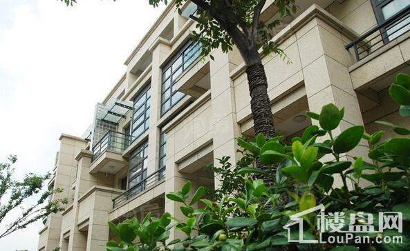 金沙御墅实景图