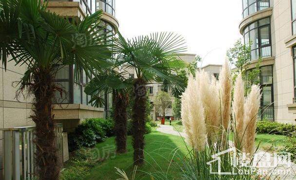 金沙御墅实景图