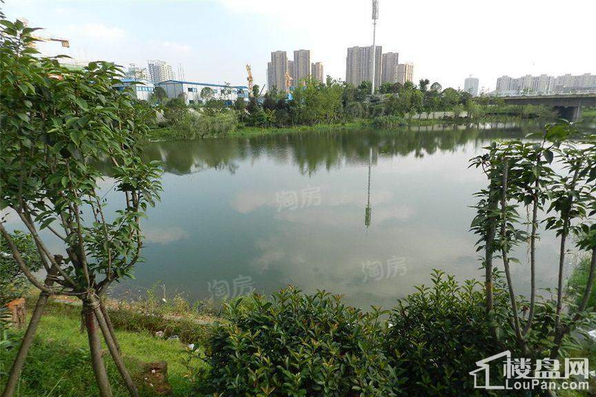 恒伟湘江时代配套图