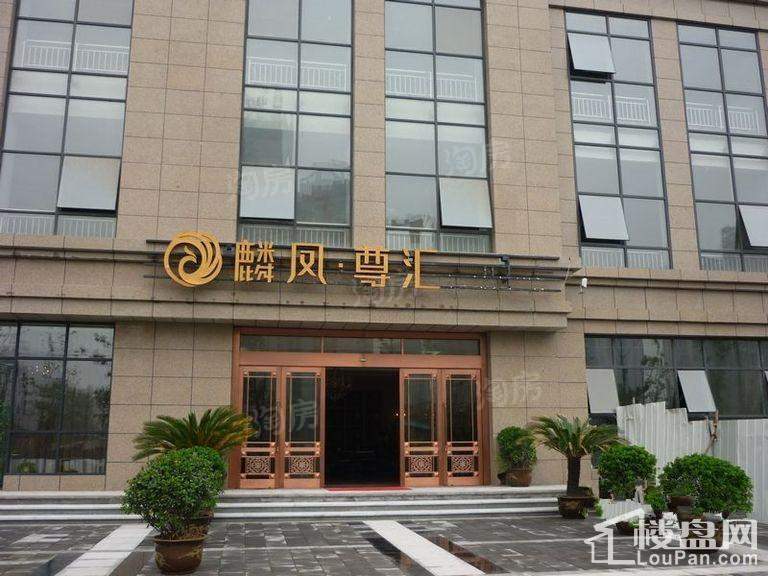 麟凤尊汇实景图
