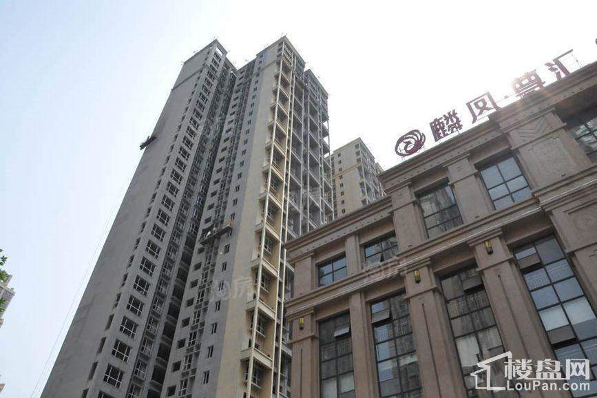 麟凤尊汇实景图