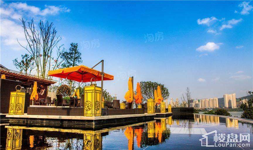 晟通牡丹舸实景图