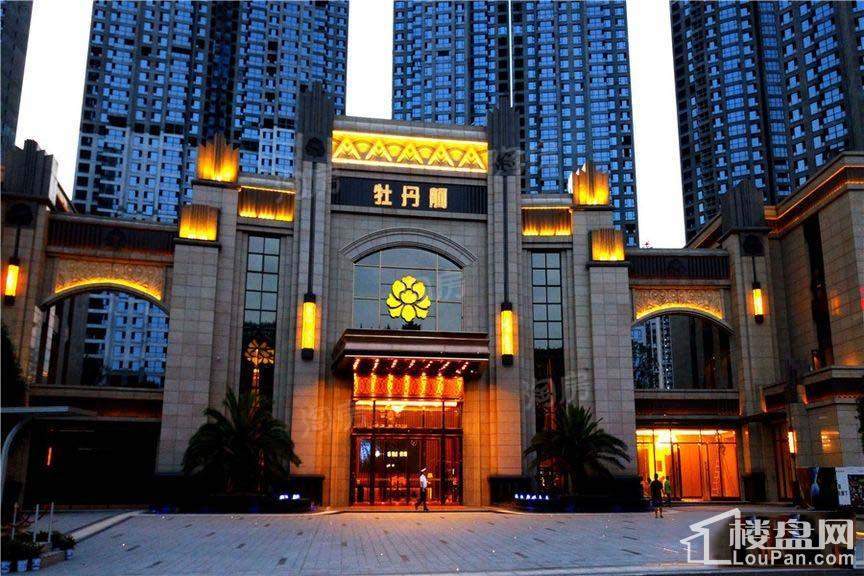 晟通牡丹舸实景图