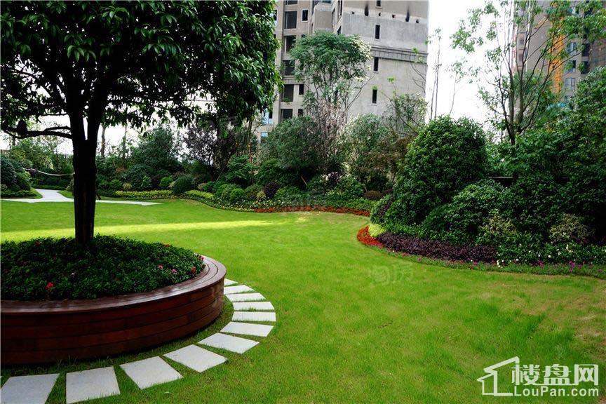 晟通牡丹舸实景图