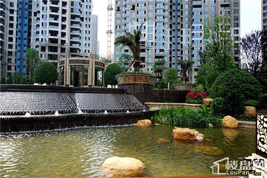 晟通牡丹舸实景图