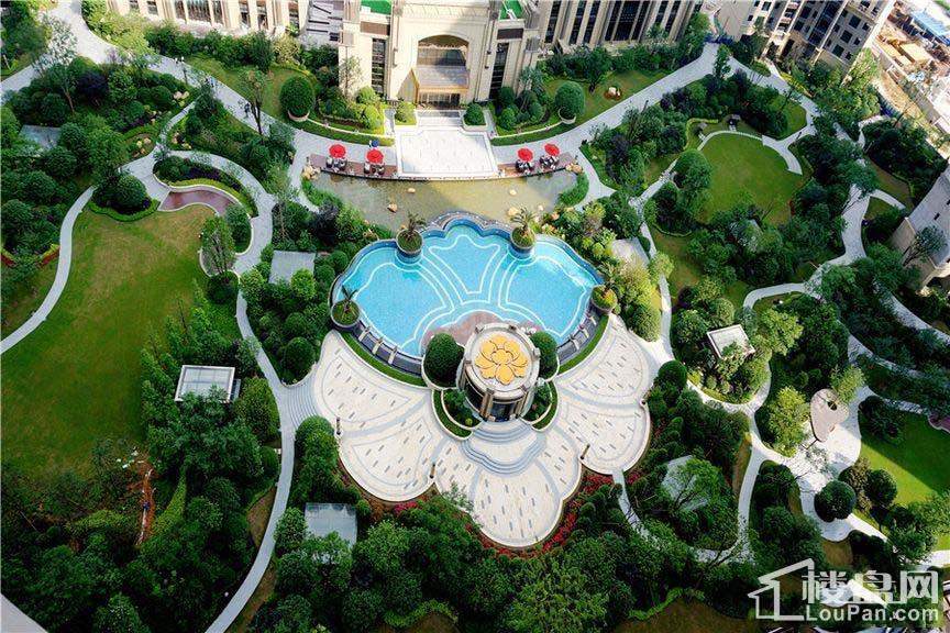 晟通牡丹舸实景图