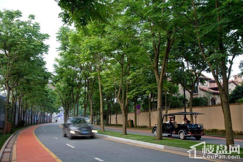 保利中航城实景图