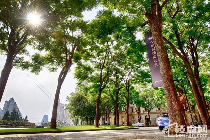 保利中航城实景图