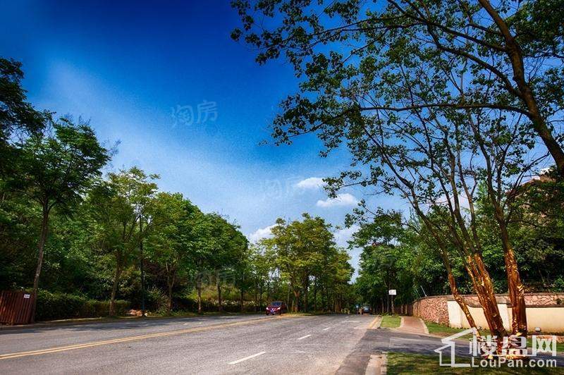 保利中航城实景图