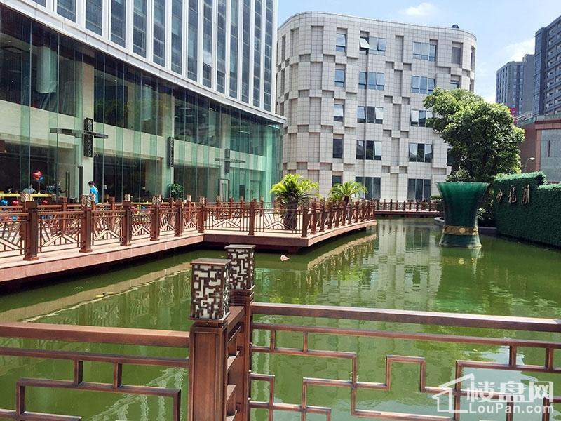 南方国际实景图
