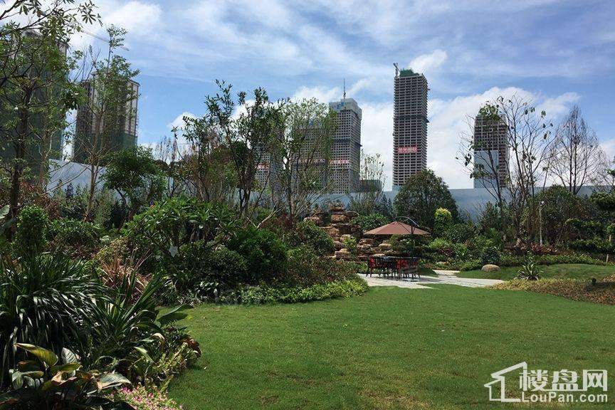 绿城春江明月实景图