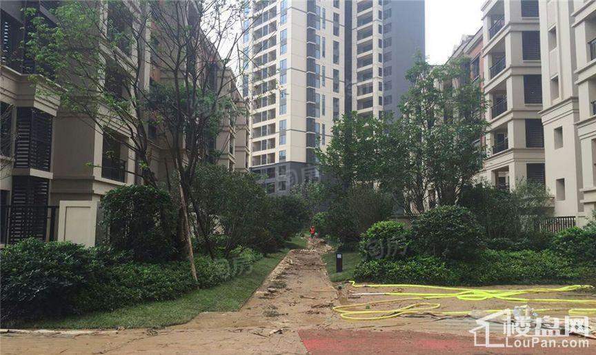 万科魅力之城实景图