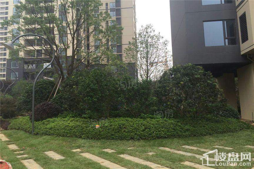 万科魅力之城实景图