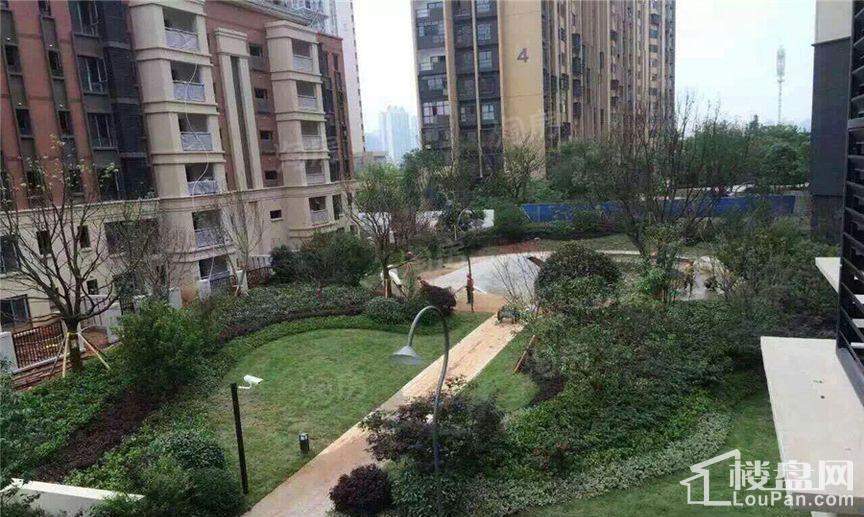 万科魅力之城实景图