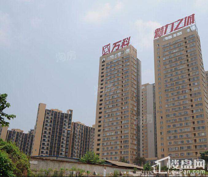 万科魅力之城实景图