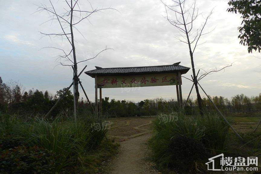 柏宁地王广场配套图