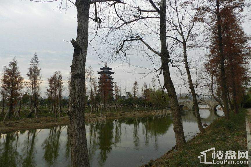 柏宁地王广场配套图
