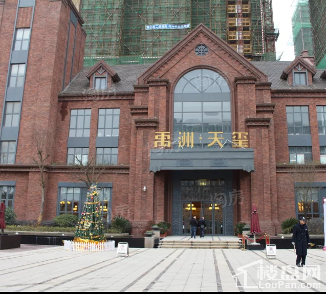 禹洲天玺实景图