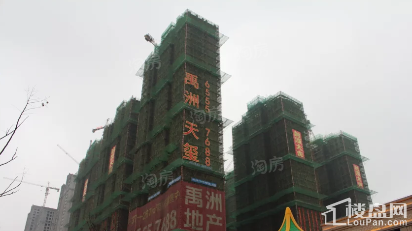 禹洲天玺实景图