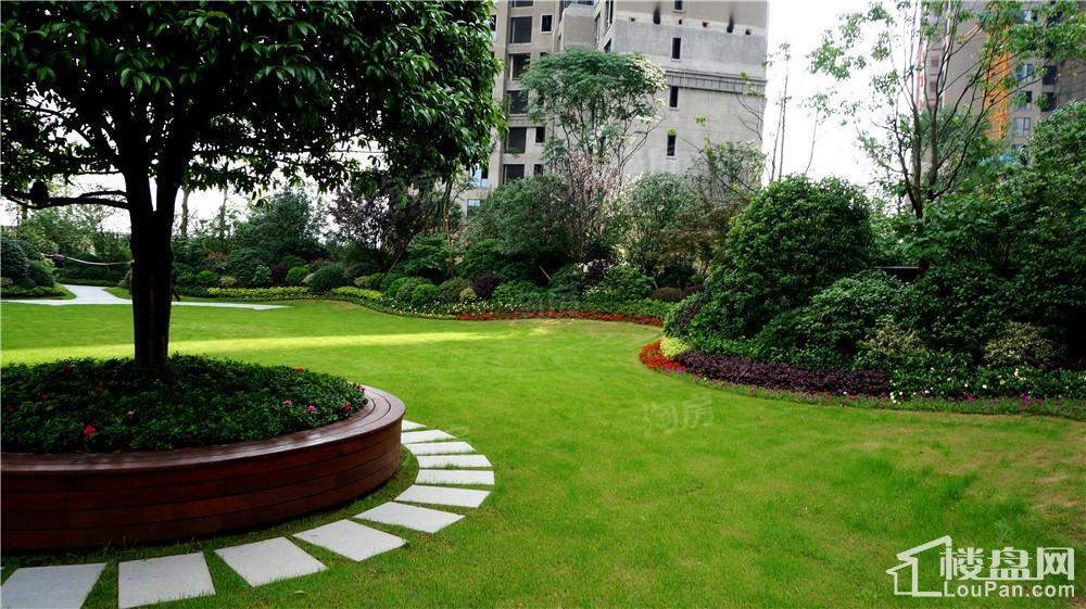 晟通牡丹舸实景图