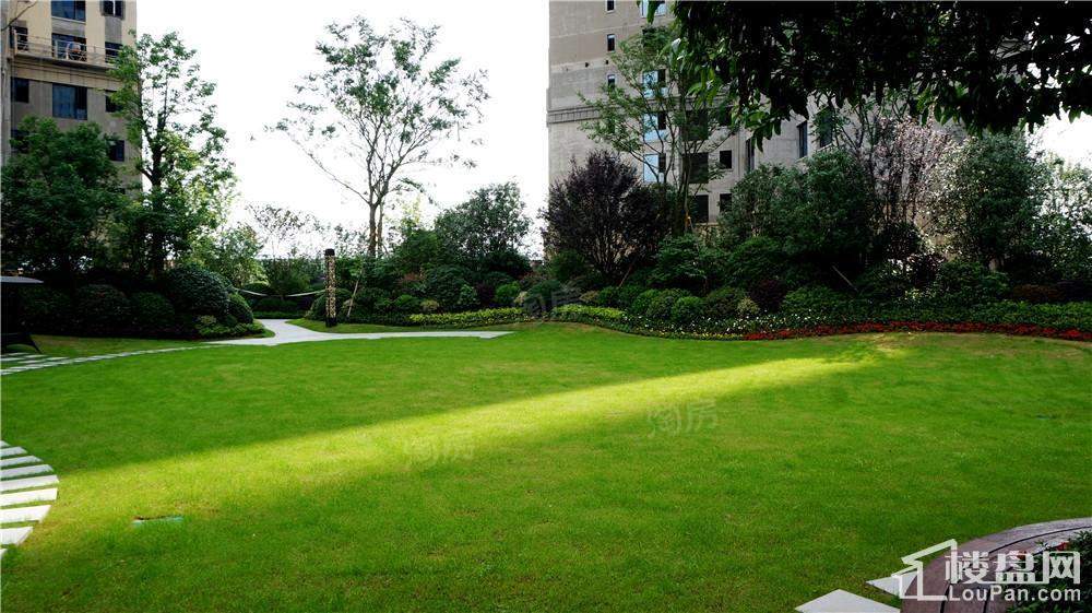 晟通牡丹舸实景图