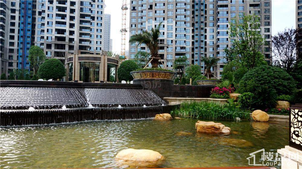 晟通牡丹舸实景图