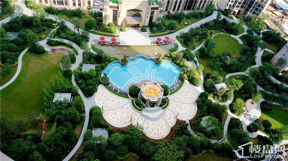 晟通牡丹舸实景图