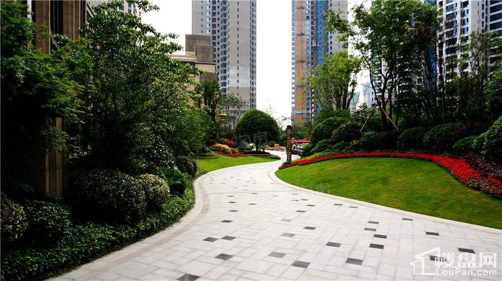 晟通牡丹舸实景图