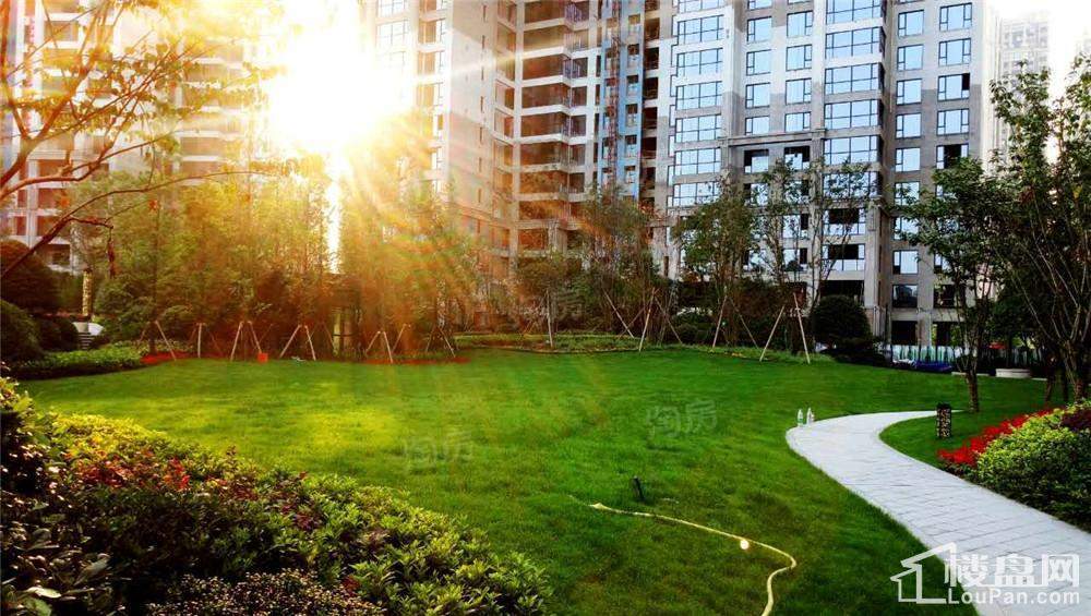 晟通牡丹舸实景图