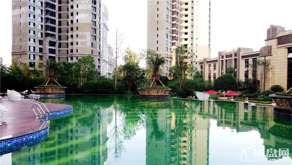 晟通牡丹舸实景图