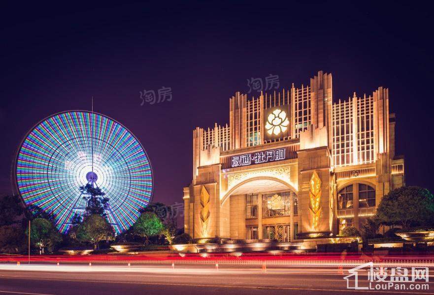 晟通牡丹舸效果图