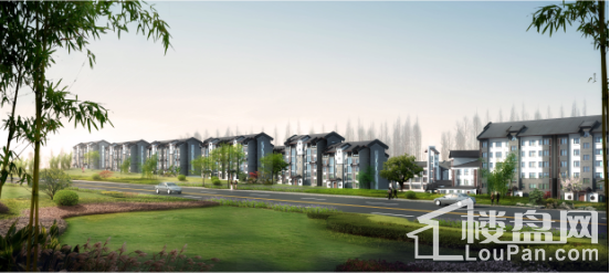 森隆卧龙大观效果图