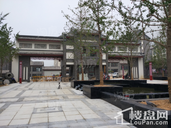 森隆卧龙大观实景图