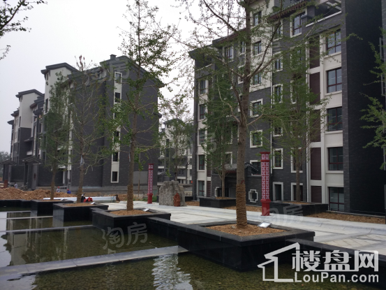 森隆卧龙大观实景图