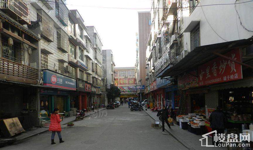明发国际城配套图