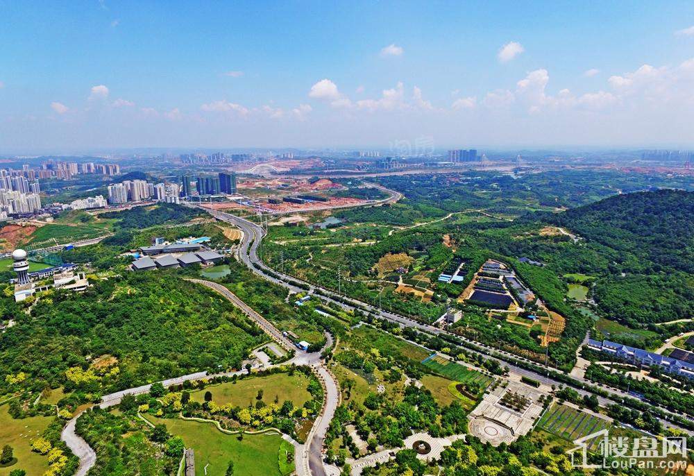 保利领秀前城实景图