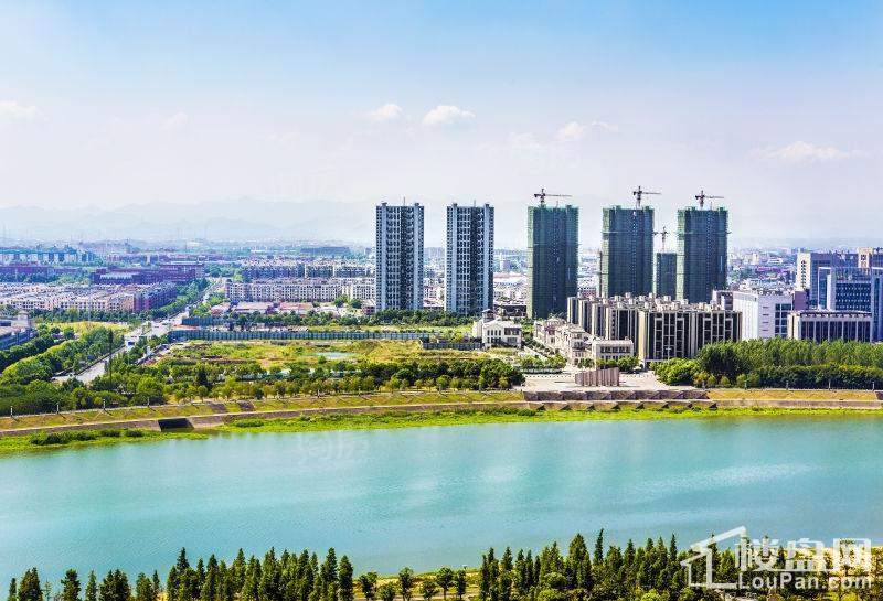 紫金湾实景图