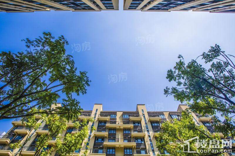 紫金湾实景图