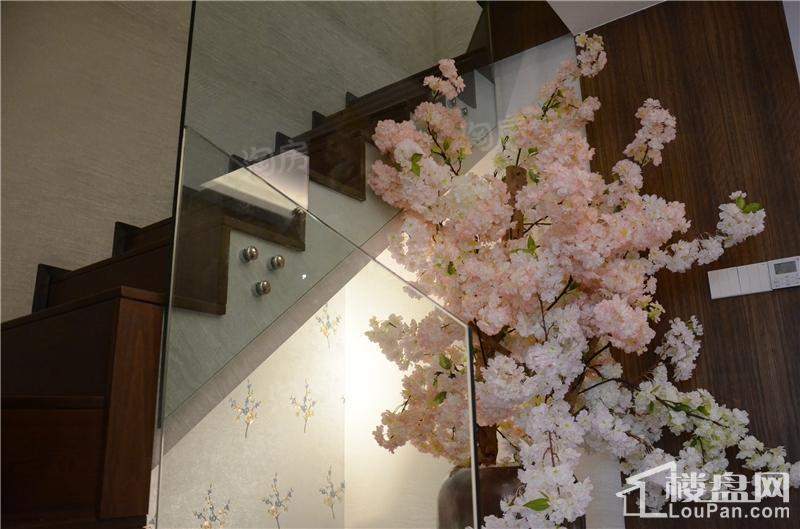 紫金湾样板间