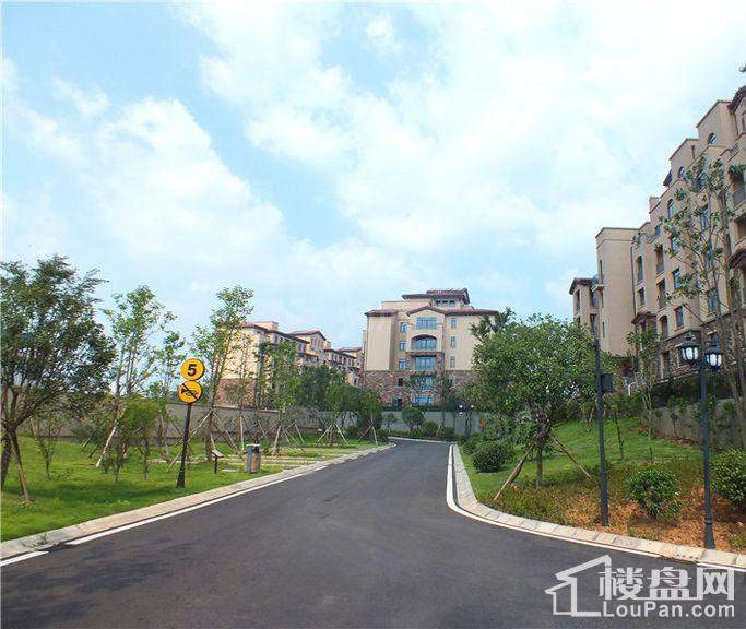 深业堤亚纳湾实景图