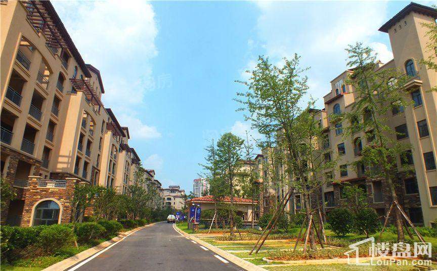 深业堤亚纳湾实景图
