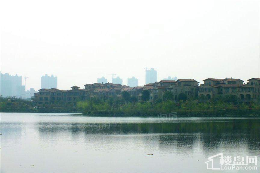 深业堤亚纳湾实景图