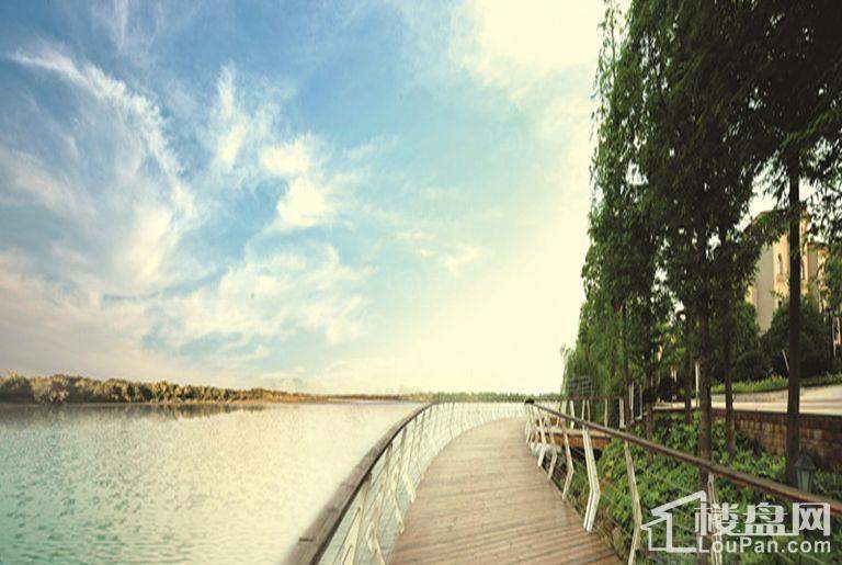 深业堤亚纳湾实景图