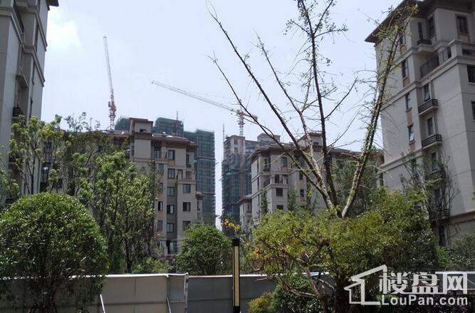 佳兆业城市广场实景图