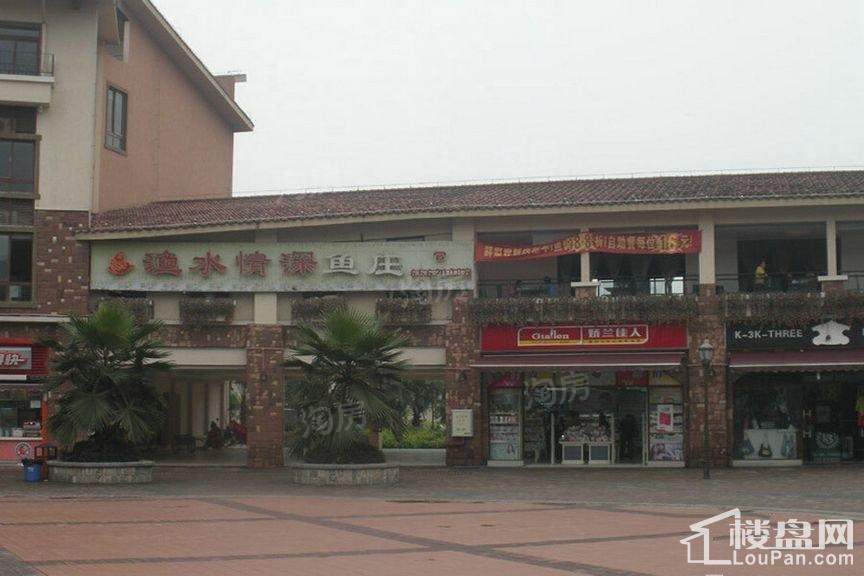 康田西宸中心配套图