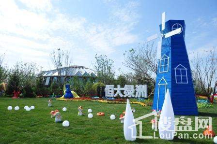恒大绿洲三期实景图